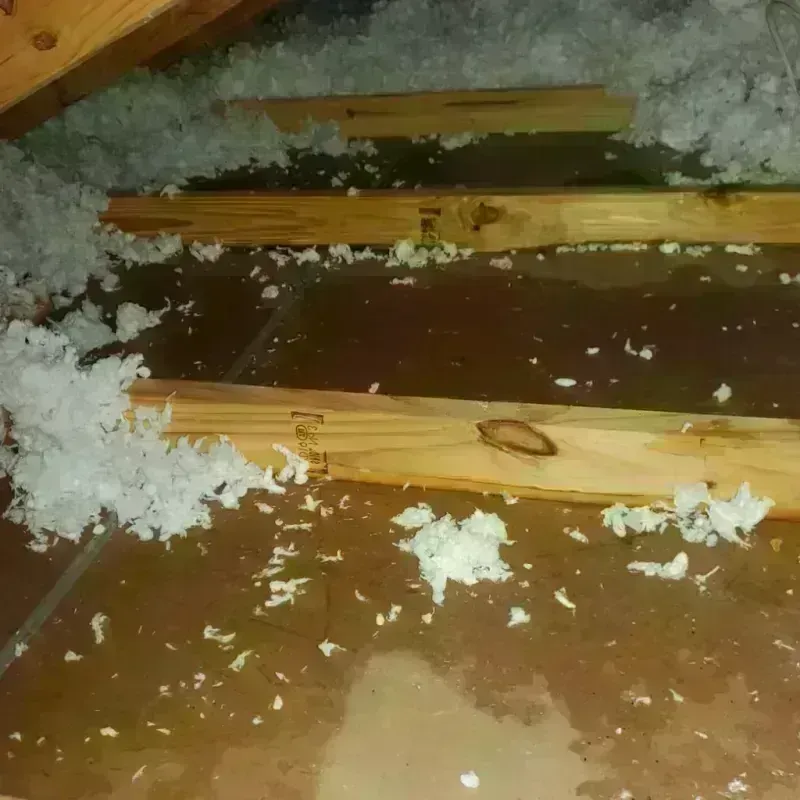 Attic Water Damage in Wheeler, TX