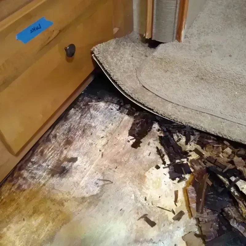 Wood Floor Water Damage in Wheeler, TX